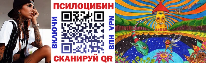 Купить  Сухиничи  Псилоцибиновые грибы Psilocybine cubensis 